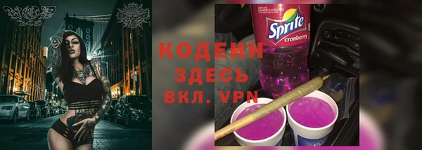 дурь Бронницы