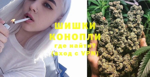 a pvp Бородино