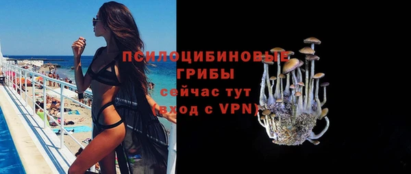 дурь Бронницы