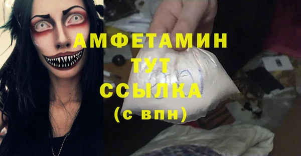 a pvp Бородино