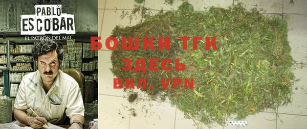 a pvp Бородино
