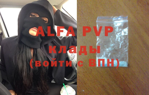 стаф Волоколамск