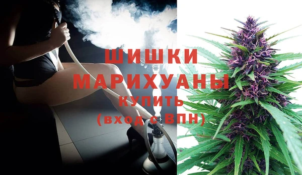 стаф Волоколамск
