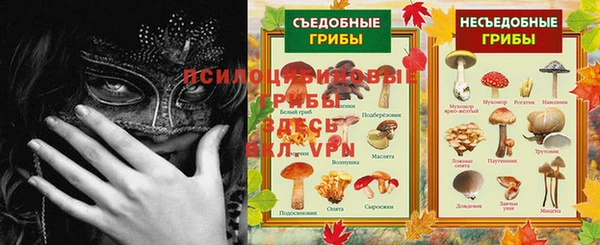 дурь Бронницы