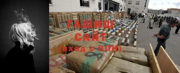 a pvp Бородино