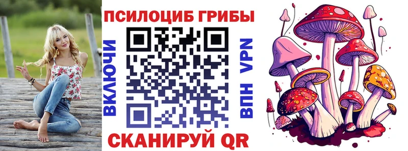 Галлюциногенные грибы мицелий  MEGA ТОР  Камбарка 