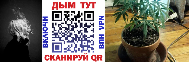 Конопля OG Kush  это телеграм  Камбарка 
